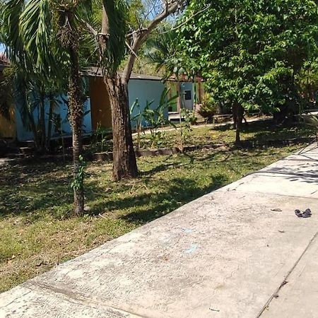 Villas Del Carmen Hostal بالينكو المظهر الخارجي الصورة