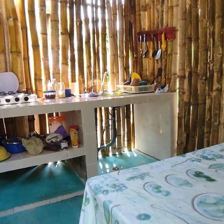 Villas Del Carmen Hostal بالينكو المظهر الخارجي الصورة