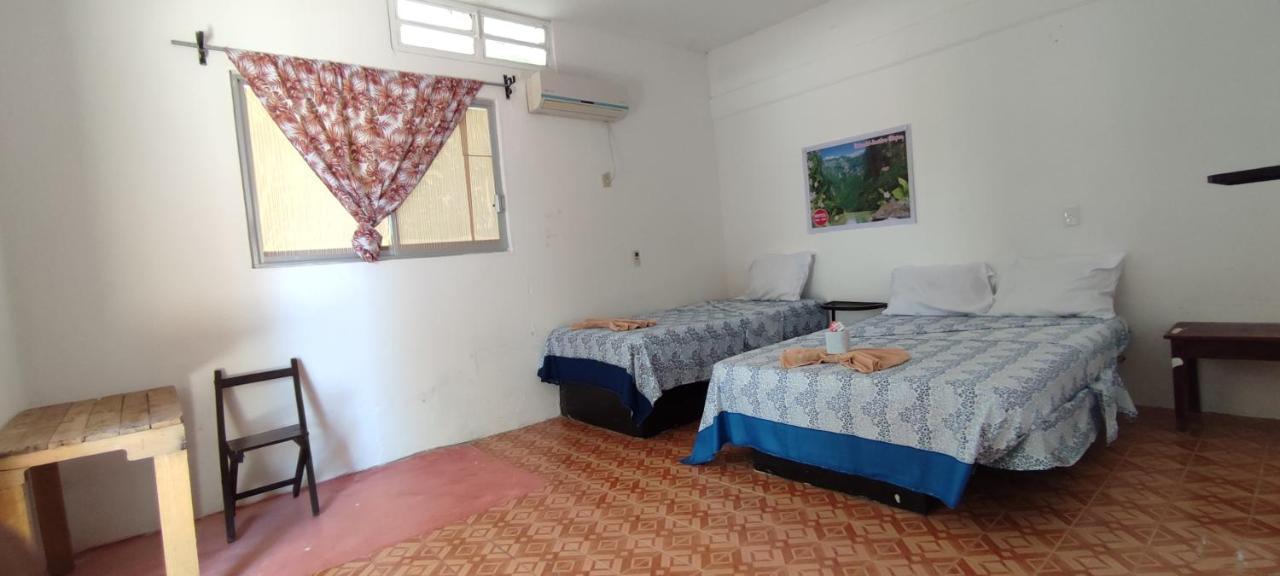 Villas Del Carmen Hostal بالينكو المظهر الخارجي الصورة