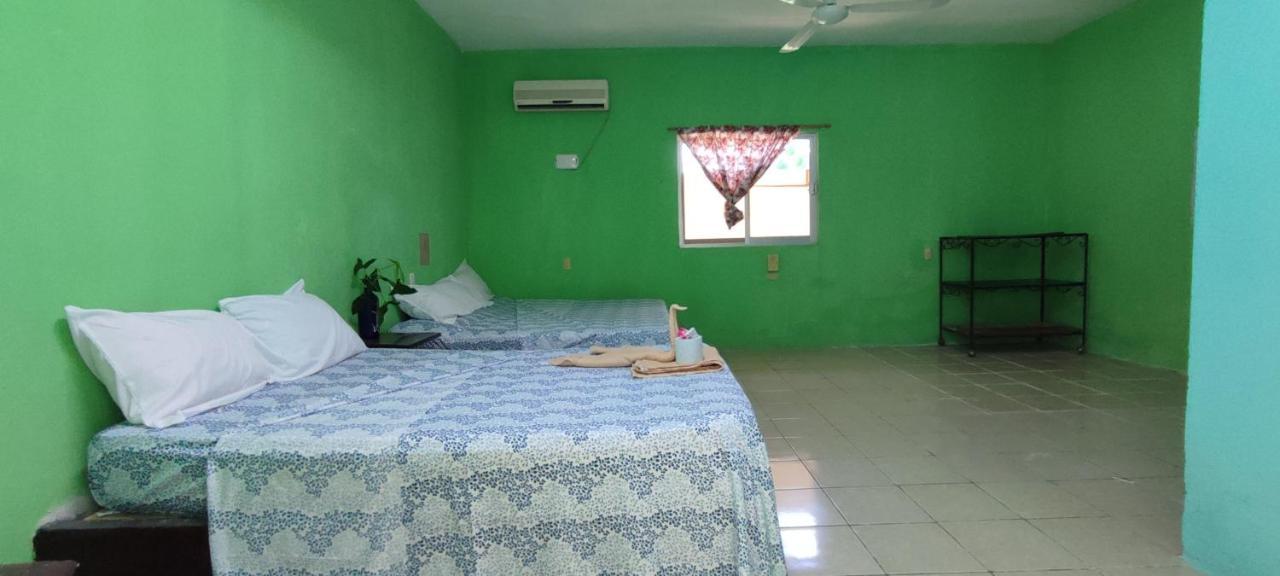 Villas Del Carmen Hostal بالينكو المظهر الخارجي الصورة