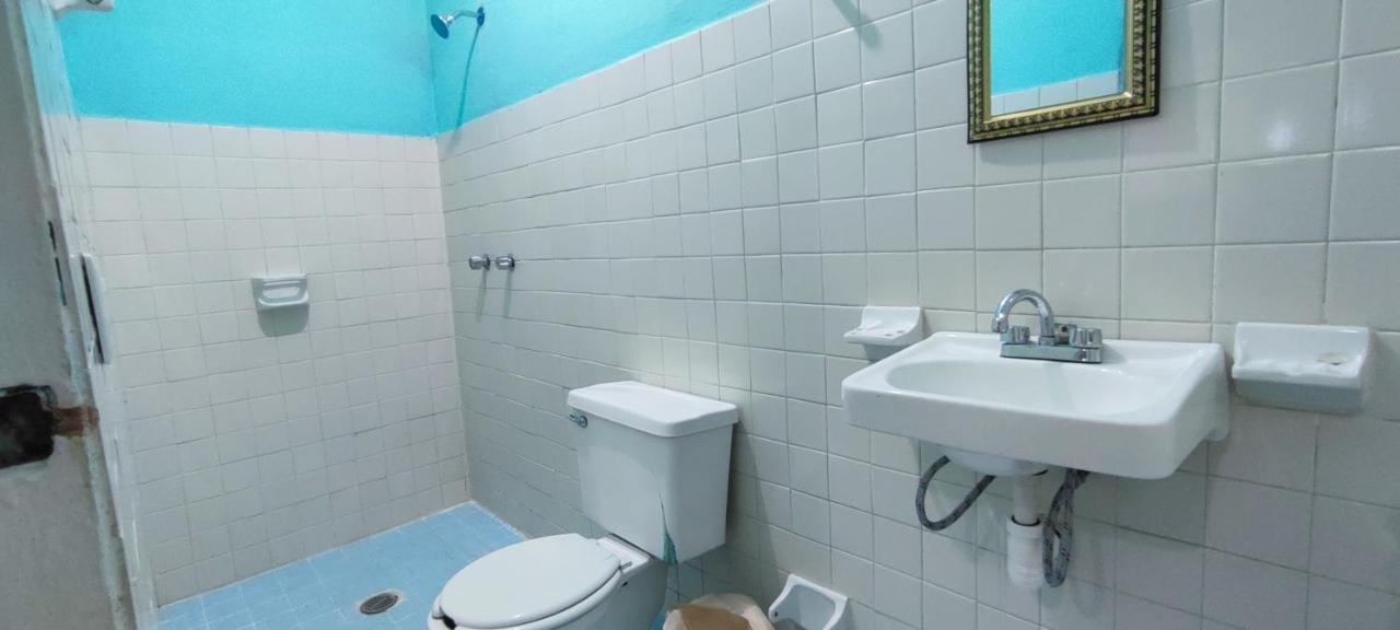 Villas Del Carmen Hostal بالينكو المظهر الخارجي الصورة