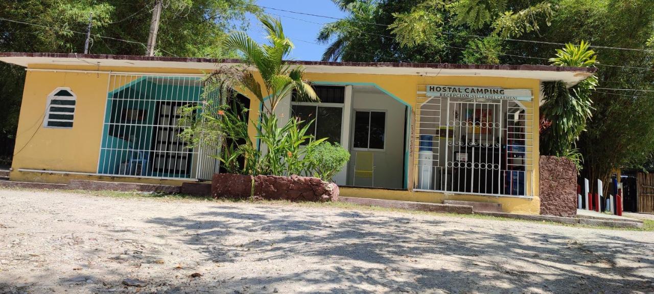 Villas Del Carmen Hostal بالينكو المظهر الخارجي الصورة